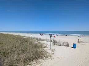 A sandy beach with a clear blue sky, featuring beachgoers in the distance, grass dunes in the foreground, and a trash bin near a post.