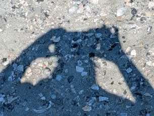 Shadow of hands forming a camera shape on a rocky surface